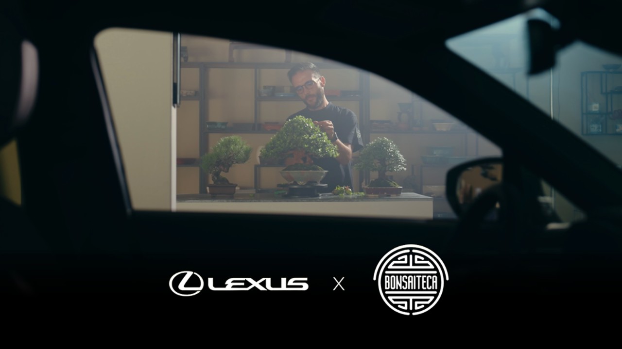 Lexus e bonsaiteca Creditos da imagem PANGERA - Pangera - Creative Media Agency - 1920x1080